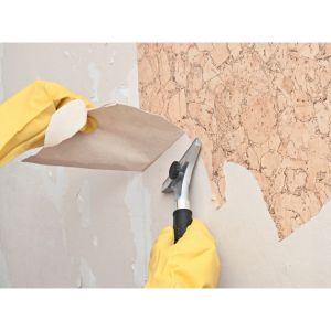 Wallpaper Removal Image