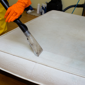 Mattress Cleaning Image