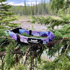 True Outdoors Photography Image